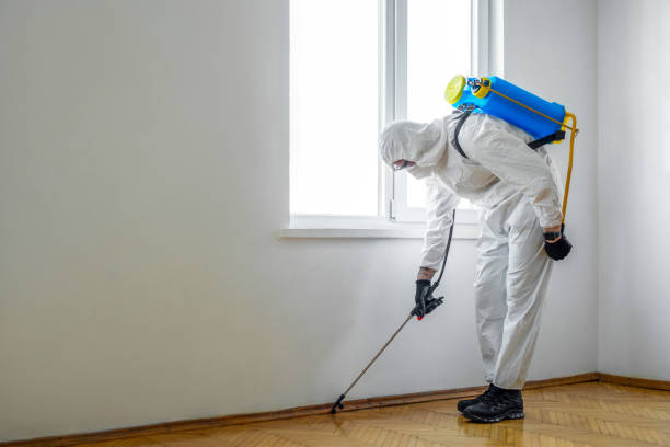 Best Cockroach Control Services  in Homestead, FL